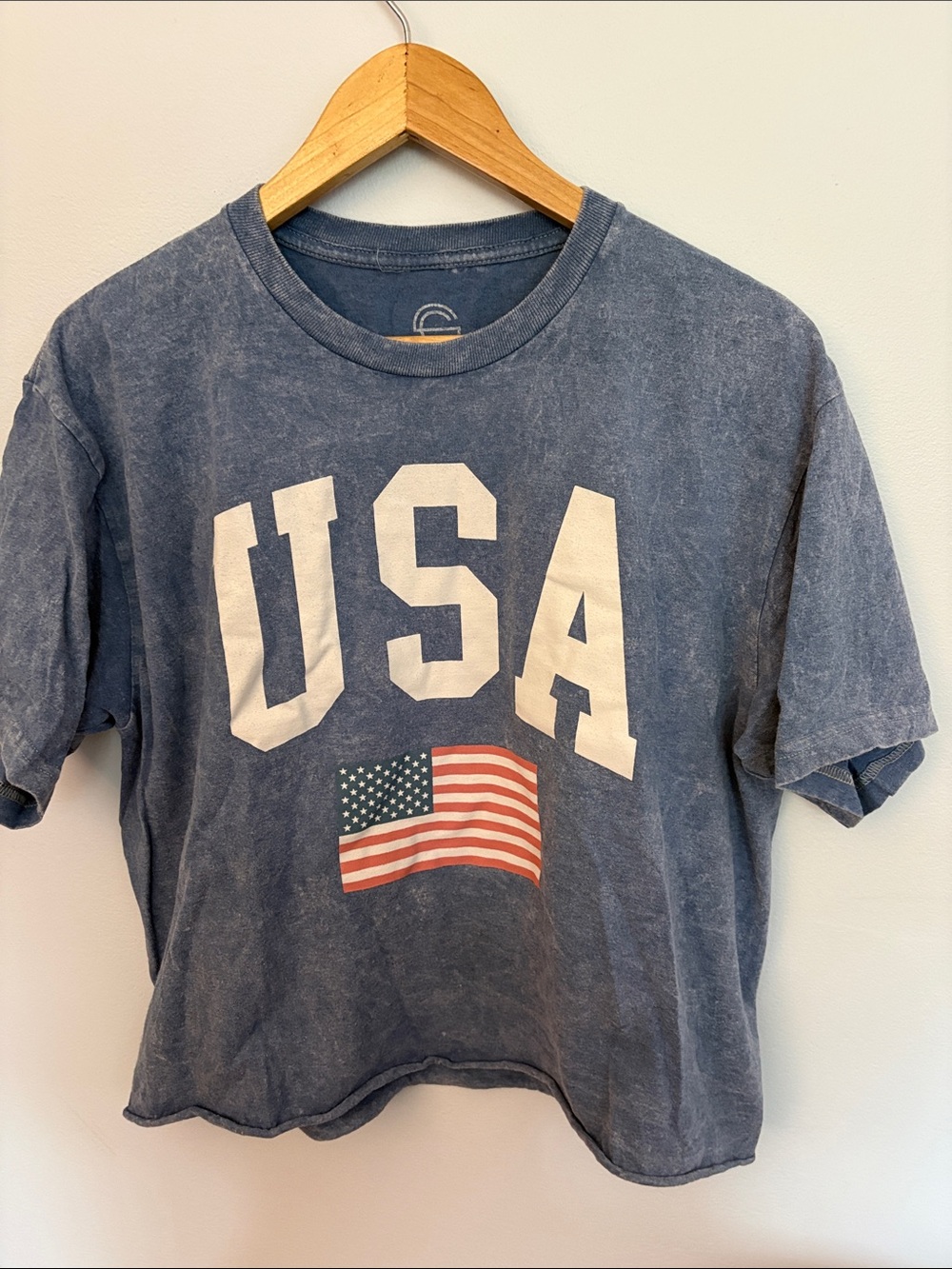 USA Graphic Short Sleeve Tee in Faded Blue